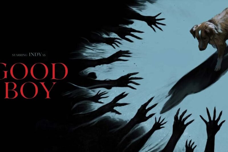 GOOD BOY (2025): ¡Denle un Oscar a ese perro! ⭐⭐⭐